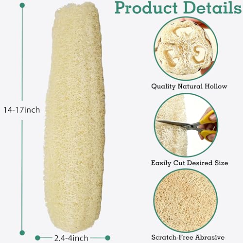 4 Pack Natural Loofah Sponges, METLUCK Organic Luffa Large Exfoliating Body Scrubbers Long Loofa Bath Shower Sponge Bulk for Women Men SPA Bath Kitchen Dishes, 14-17 inch - style: Whole Loofahs