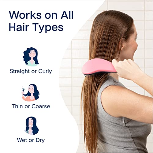 Crave Naturals Glide Thru Detangling Brush for Adults and Kids - Detangler Brush for Curly or Straight, Wet or Dry Hair - Gentle on Tangles Hair Comb - 7.5x3-Inch, Pink and Purple (Pack of 2) - color: Pink & Purple, size: 2 Pack (Regular)