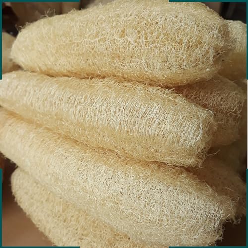 10 Pcs (5 – 7 Inches) Shower Loofah Exfoliating Body Scrubber | Natural Loofah Sponge | Bath for Loofah for Men and Women | Pack of 10 - size: 1 Count (Pack of 10)