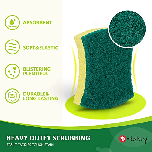 ORIGHTY Heavy Duty Cellulose Scrub Sponges Kitchen, Powerful Scrubbing & Cleaning, Suitable for Washing Dishes and Kitchen Cleaning, Absorbent & Rich Foam, 24 Count - color: Green