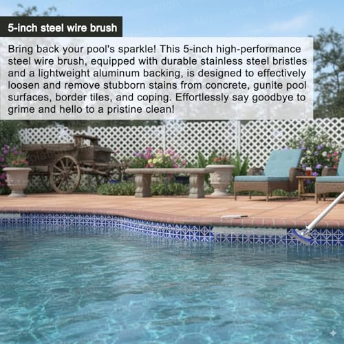 Pool Pumice Stone and 5 inch Stainless Steel Pool Brush Set with EZ-Clip Handle to Reomve Erase Rust Stain Spot in Concrete Plaster Pool Spa and Calcium Deposit on Pool Tile