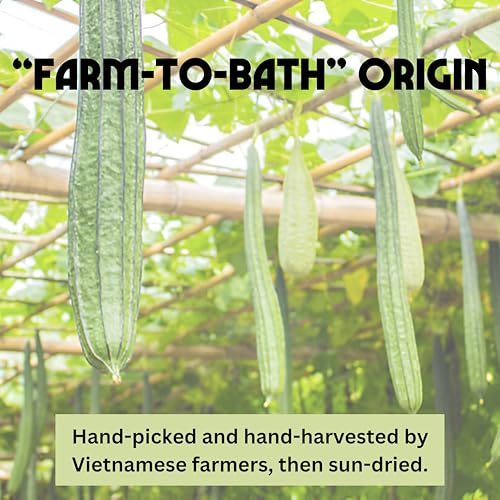 Birdee 100% Plant-Based Loofah Body Wash Sponge - Natural Luffa for Exfoliating and Radiant Skin, Hand-crafted in Vietnam, Pack of 4