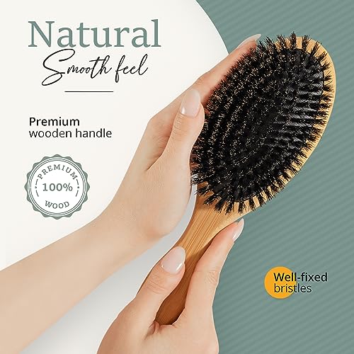 100% Boar Bristle Hair Brush for Women Set by Belula (L Size). Soft Natural Bristles for Thin and Fine Hair. Wooden Comb, Travel Bag and Spa Headband Included! - size: Large