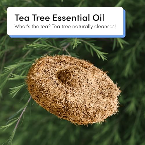 TUSHY Tea Tree Coconut Husk Scrubbing Pads, 16 Pack: Planet Friendly Cleanser-Infused Pads (No Toilet Bowl Cleaner Needed), TUSHY Toilet Brush 2.0 Refills - style: 16 Pad Refills (Tea Tree)