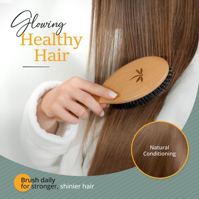 Belula 100% Boar Bristle Hair Brush Set (Medium). Soft Natural Bristles for Thin and Fine Hair. Restore Shine And Texture. Wooden Comb, Travel Bag and Spa Headband Included! - size: Medium