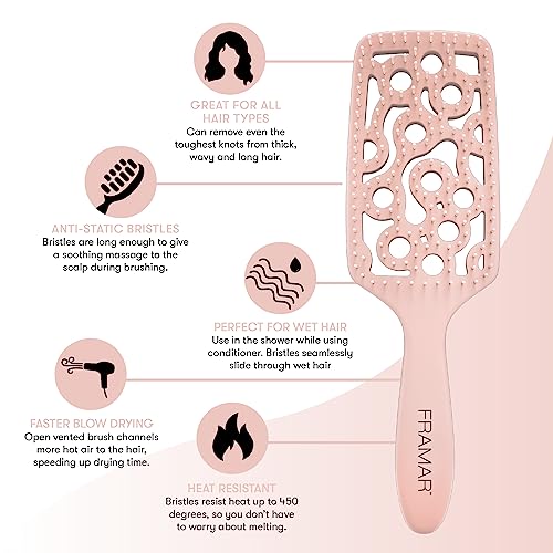 FRAMAR Professional Vented Hair Brush – Curved Hair Brush For Faster Blow Drying, Vent Brush For Blow Drying, Less Breakage, Wet Hairbrush For Women – Heat Resistant - Champagne - color: Champagne