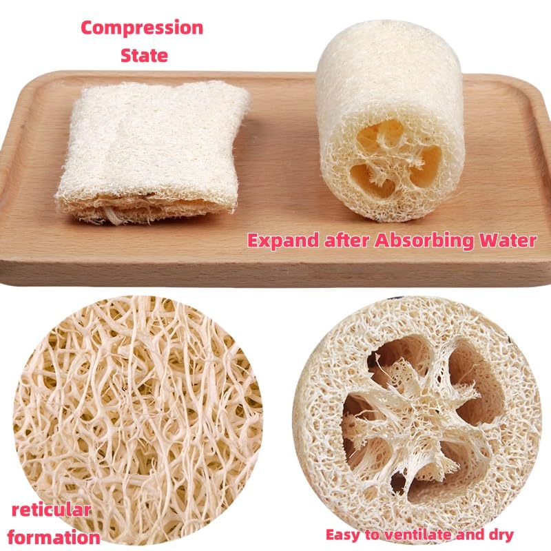 Loofah Body Scrubber Sponge 5-Pack - Natural Exfoliating Sponges for Bath & Shower, Biodegradable Luffa for Smooth & Glowing Skin, Spa Gift Set, Dye-Free, Vegan - size: 1 Count (Pack of 5)