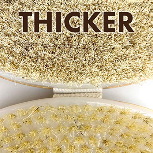 Scala Body Brush Natural Bristle, Dry Brushing Exfoliator for Dead Skin | Medium strength bristles, boosts circulation, lymphatic drainage, cellulite care